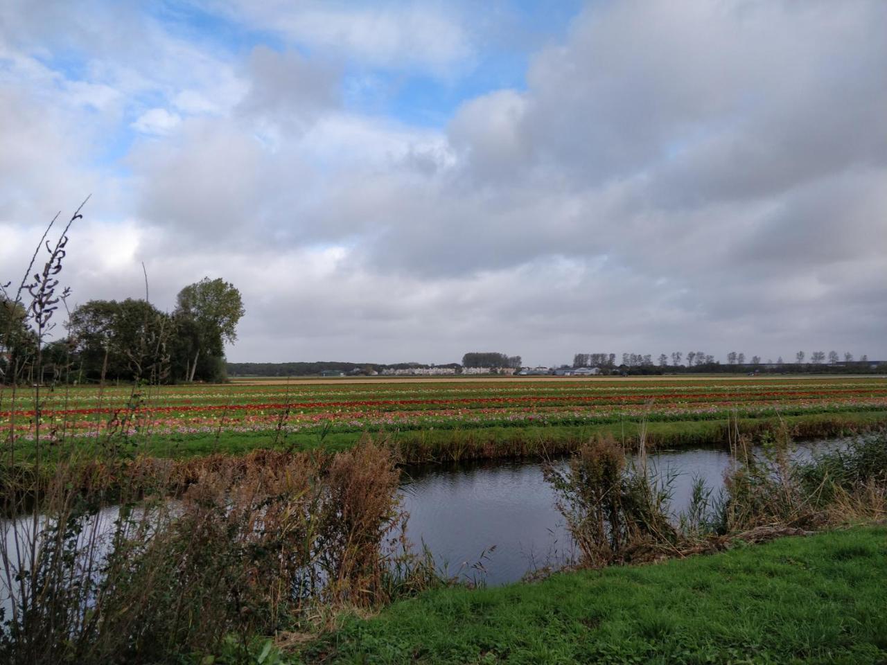 Boutique Suites Lisse - Schiphol Exteriör bild